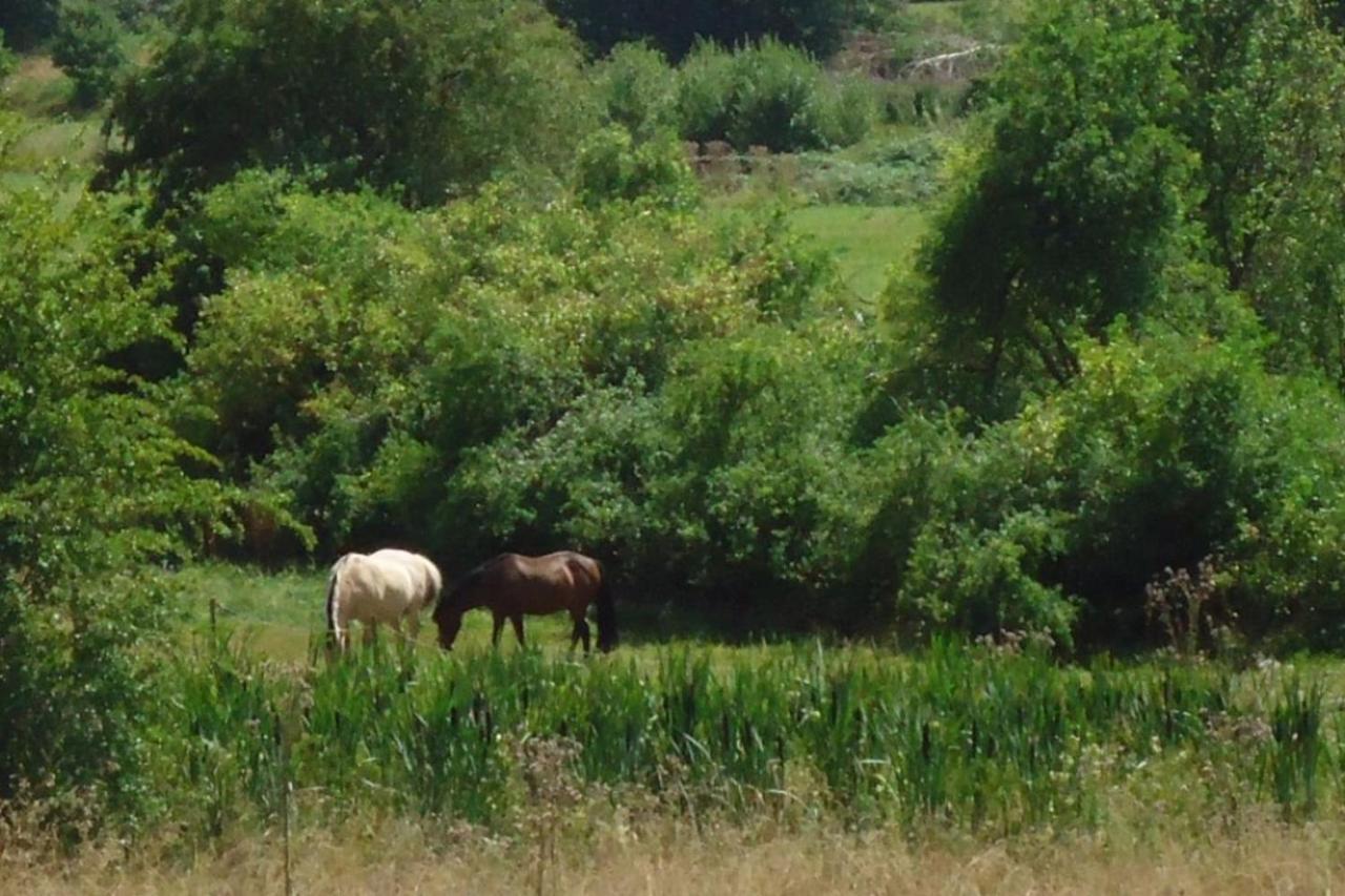 La Chouette Au Bouleau Villa Hargnies Luaran gambar
