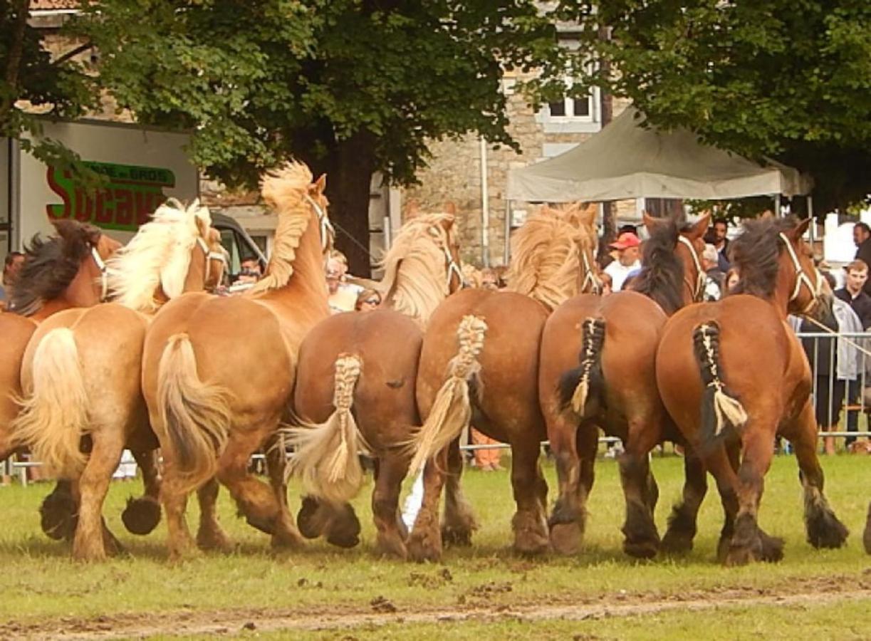 La Chouette Au Bouleau Villa Hargnies Luaran gambar